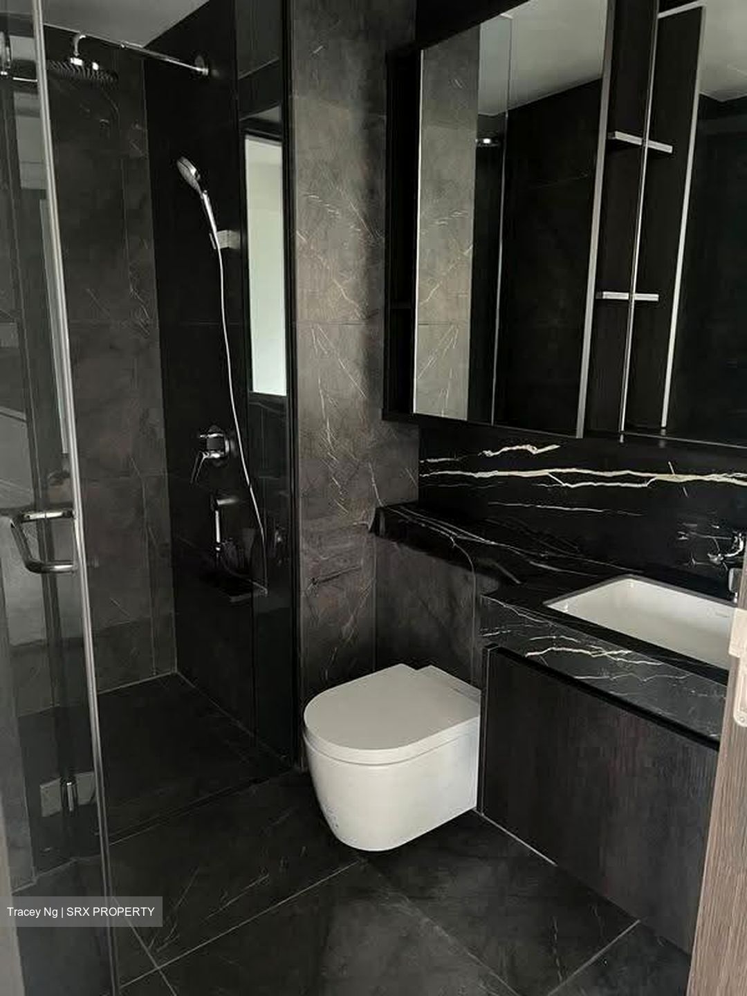 Hyll On Holland (D10), Condominium #610700041